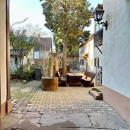 Exklusives Haus, Ruhig Gelegen Im Innenhof, Zentral, Lichtdurchflutet Zustellbett,babybett Bei Bedarf Apartment Karlsruhe